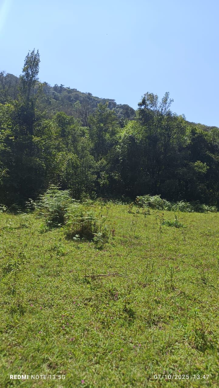 9.5 Acre River Touch Farmland for Sale – Garvale, Coorg